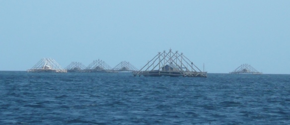 Kei Islands – Plateformes de pêche. Elles sont autopropulsées, restent en place deux/trois jours, la cabane abrite un gardien, puis l’équipage relève filets et lignes à calamars (cumi-cumi).